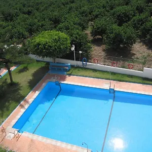 Palmeras Almuñécar